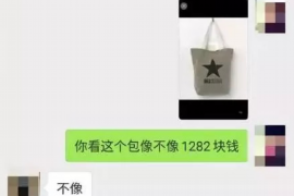 宝兴为什么选择专业追讨公司来处理您的债务纠纷？